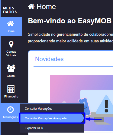 consulta marcações avançadas.png